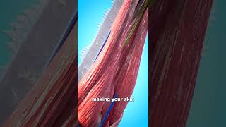 Falling Into Liquid Nitrogen 😮 (would you survive?)