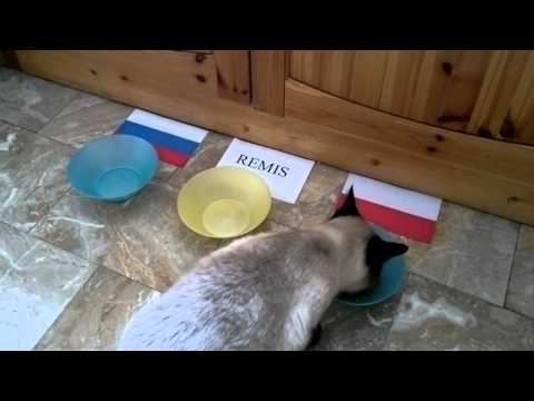 Można się pośmiać