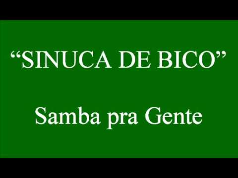 SINUCA DE BICO