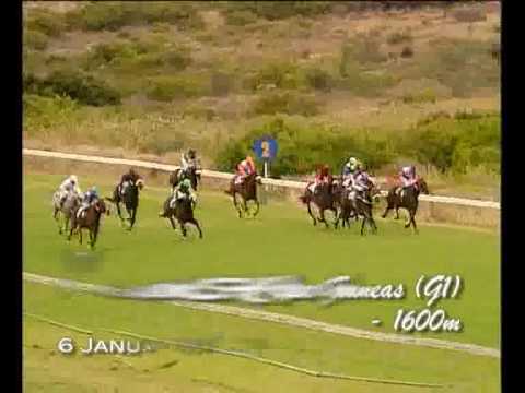 Jay Peg - Giant Killer