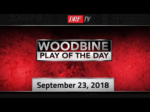 Woodbine Play of the Day - Durham Cup 2018