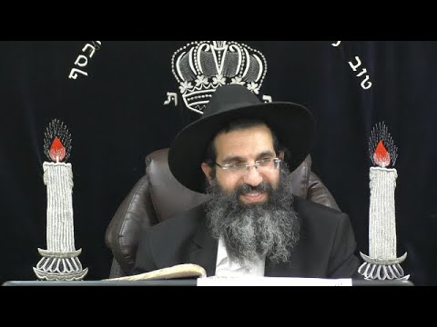 הלכות שחיטה - ו' | בדיקה וכיסוי הדם | טריפות 🔪 יורה דעה - סימן כה - כט | חלק 6 | הרב שי עובד