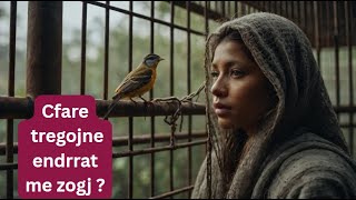 Çfarë do të thotë të shohësh zogj  në ëndërr .