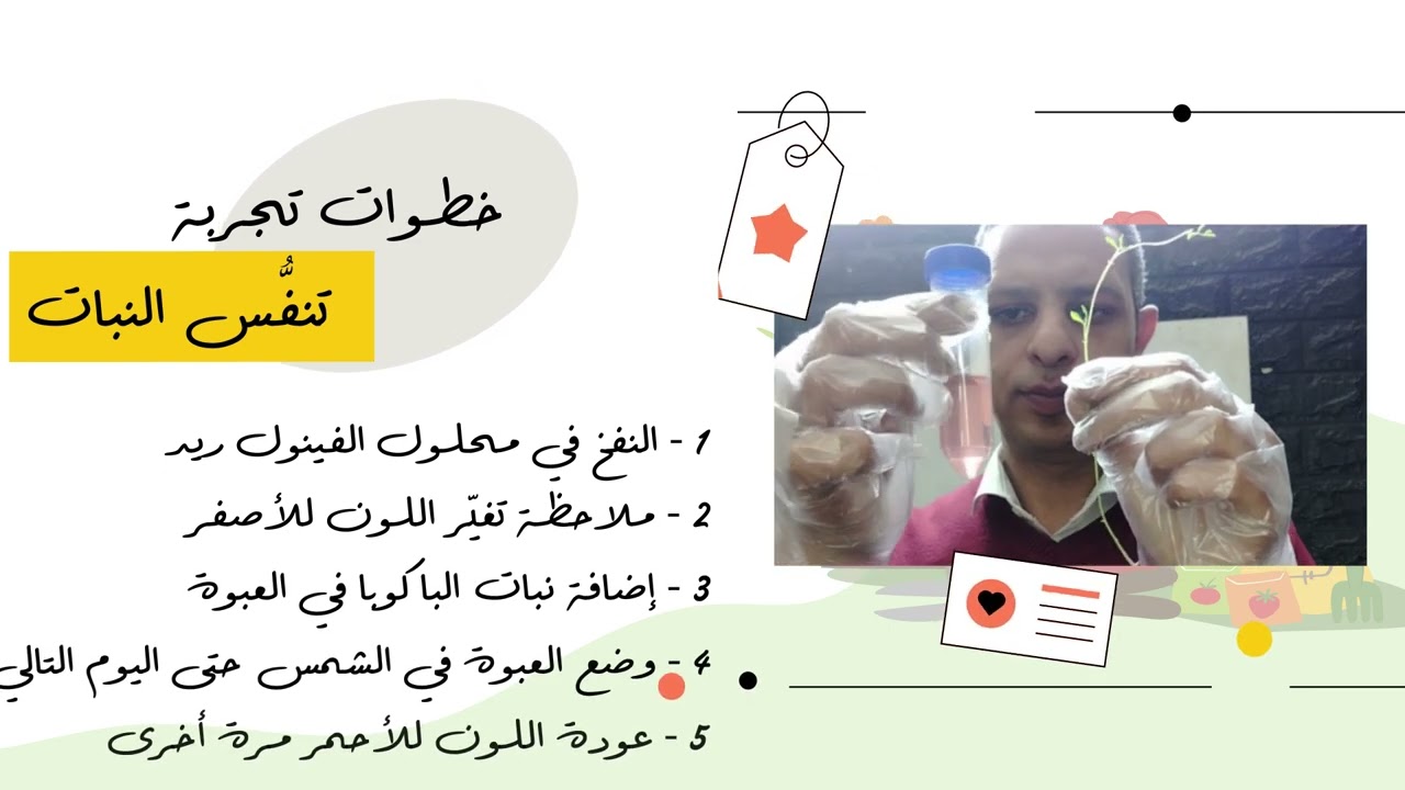 شرح الكيت