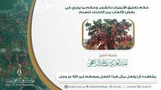 صورة شجرة الأمنيات والركوع للصنم في الألعاب الإلكترونية II  لفضيلة الشيخ  عبدالعزيز الراجحي