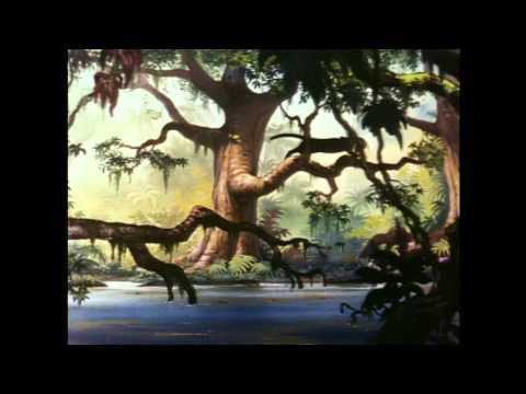 Magic English DVD 19 - Colours