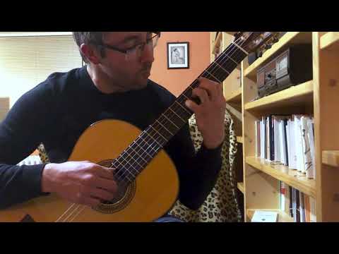 Vlasta Redl: Kolem a kolem (classical guitar cover)