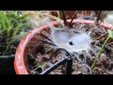 FH-118 13 cm Regolabile 8 Fori Spina di Terra Gocciolatore Sistema di Irrigazione del Giardino Ugello di Irrigazione (Red Hat)