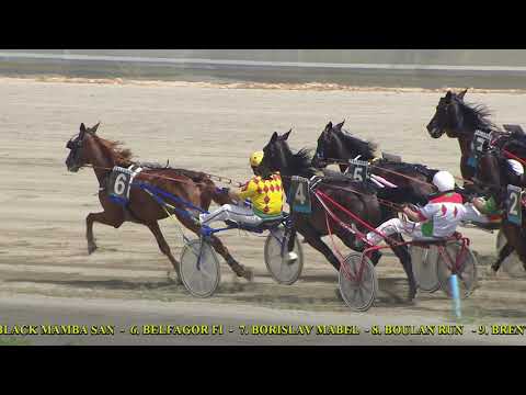 IV Corsa - Premio Narciso - 9 Giugno 2021