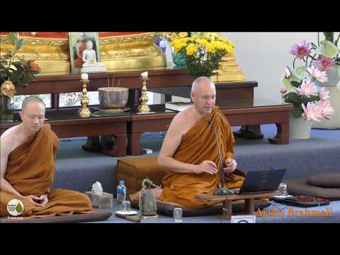 DN16: Mahaparinibbana Sutta (part 5) | Ajahn Brahmali | 12 November 2017