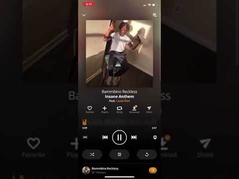 Bammbino reckless💙🚸