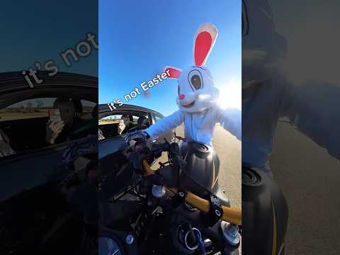 First & Last Day As The Easter Bunny• shop hsrclub.com #viral #fyp #motorcycle #bike #honda