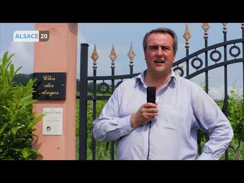 Interview de Xavier Baril Domaine Fernand Engel