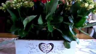 Beautiful dreamer - John Leyton - Beautiful dreamer 1963