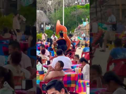 This beach isn’t big enough for the Tube Of Us🎵 #tuba #musica #mexico #beach #shorts