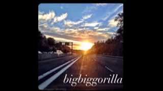BIGBIGGORILLA &quot;Find Love&quot;- Clem Snide cover. Recorded live with Velikibeliduh