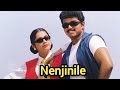 Nenjinile Tamil Movie Vijay Isha Koppikar Roja Nizhalgal Ravi Sonu Sood Manivannan
