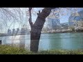 Clip 2