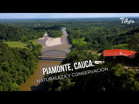 Piamonte, Cauca: Naturaleza y Conservación- TvAgro por Juan Gonzalo Angel
