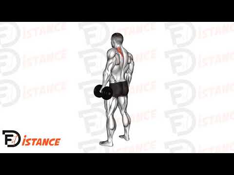 Shrugs en unilatéral - Exercice Shrugs en unilatéral en vidéo