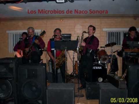 Los microbios de Naco- El huaraqui