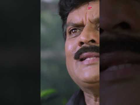 Watch 👆 Pulival Kalyanam Super Scenes! #jayasurya #kavyamadhavan #lal #salimkumar #comedy #shorts