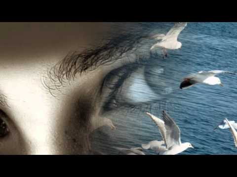 Marijan Ban i Diktatori  ♫ Dok galebovi vrebaju ♫·:*¨¨* ♥