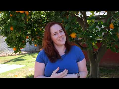 We Are Visible (Too), Episode 2: Caitlin O'Donnell