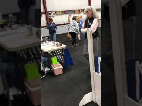 Saju winning AKC Novice B, 199