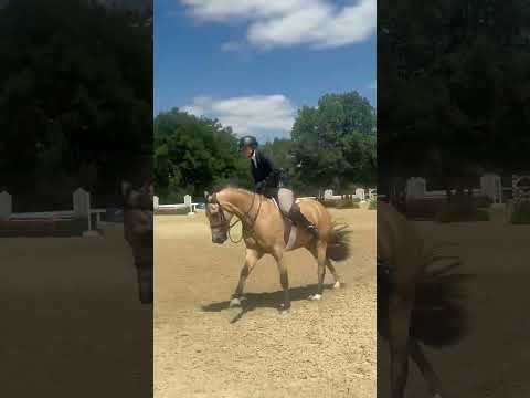 Boca's Pony Boy video 3