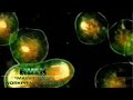 The Hulk 2003 Main Titles Workprint Version