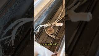 ELECTRICIDAD EN INDUSTRIA #electricidad #empresas #industrial #industr
