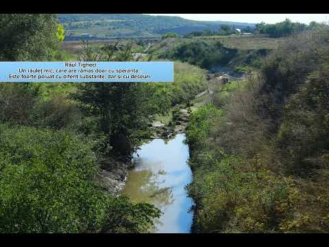 Comuna Pleșeni, gură de rai!