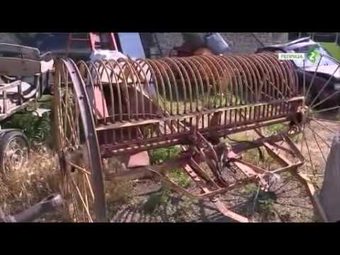 KONOPA. ABSOLUTNA ROŠLJINA BUDUČNOSCI - Vladimir STRIČKO