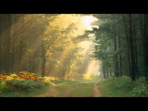 Felix Draeseke - Symphony No.3 in C-major, Op.40 "Symphonia Tragica" (1886)