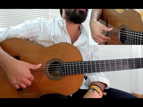 🎸  Flamenco Guitar Course Level 1/7 - Lesson 1 - Thumb explained