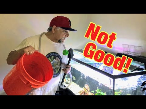 Top 5 Aquarium Water Change Disasters - Don't Let These Happen!