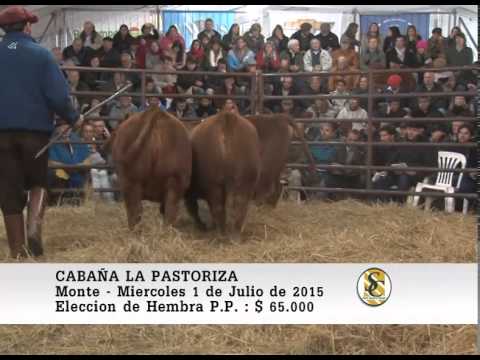 01-07-15 Ventas de Elección Hembra P.P. - Cabaña La Pastoriza - San Miguel del Monte.