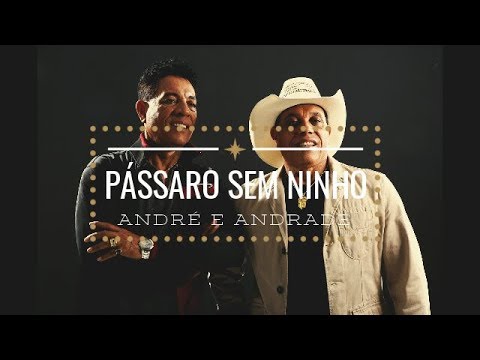 Pássaro sem ninho - André e Andrade ( Vídeo Lyrics )