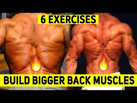 How to Build Bigger Back Muscles - 6 Back Workout Exercises