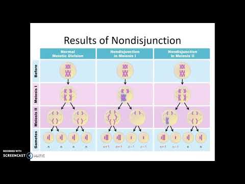 Nondisjunction