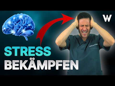 Stress (Distress): Bei diesen 5 Anzeichen läuten meine Alarmglocken! (oft unterschätzt)