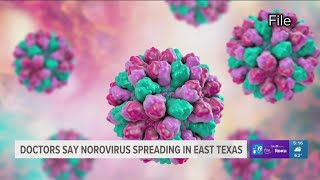 Doctors give tips on how to treat the Norovirus