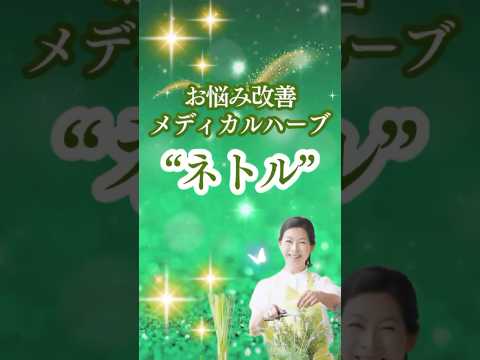医療ビジネス薬科学科 2024年12月15日