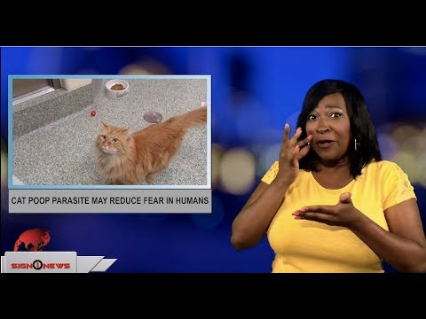 Cat poop parasite may reduce fear in humans (ASL - 7.28.18)