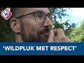 'Als je plukt, doe dat dan altijd met respect voor de natuur' - OMROEP WEST