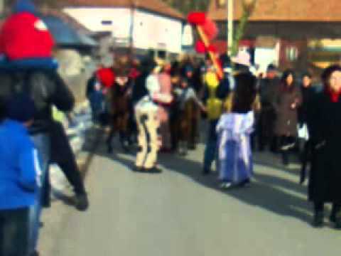 Sosirea ursilor la Primaria Palanca