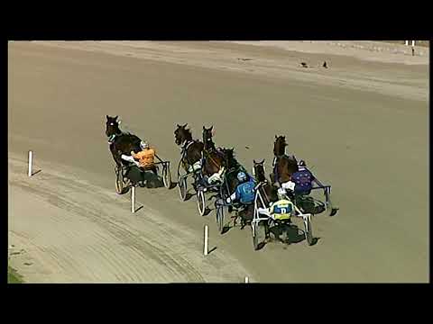 Napoli Trotto 19/02/2021 - 3ª corsa