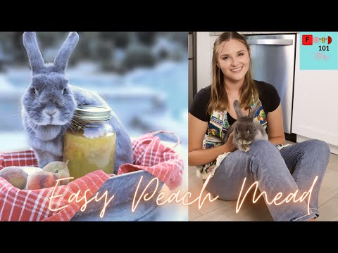 Easy Alcoholic Peach Mead Home-brew (Alcoholic Fermentation)