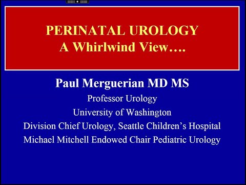 5.19.2020 Urology COViD Didactics - Perinatal Urology